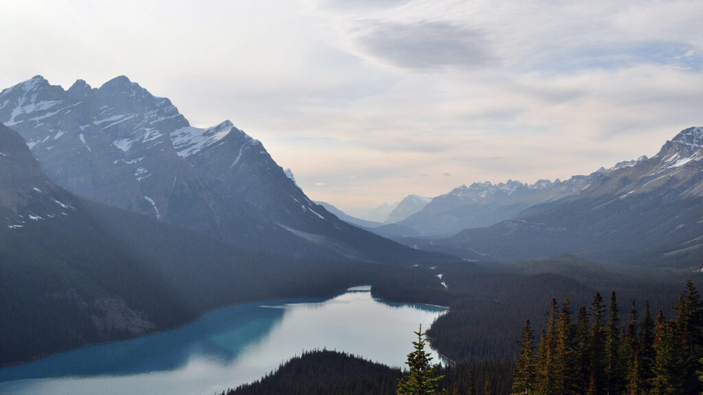 Thorney Investment Group (TIG) Thorney